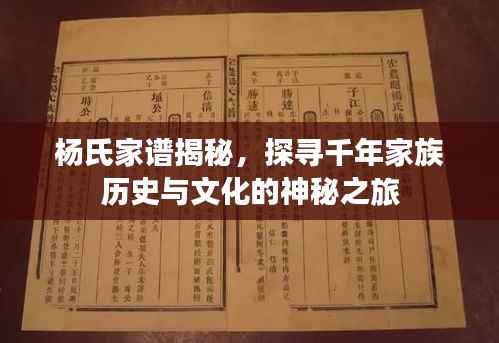 杨氏家谱揭秘，探寻千年家族历史与文化的神秘之旅