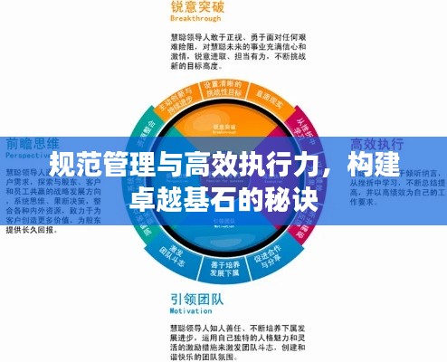 规范管理与高效执行力，构建卓越基石的秘诀
