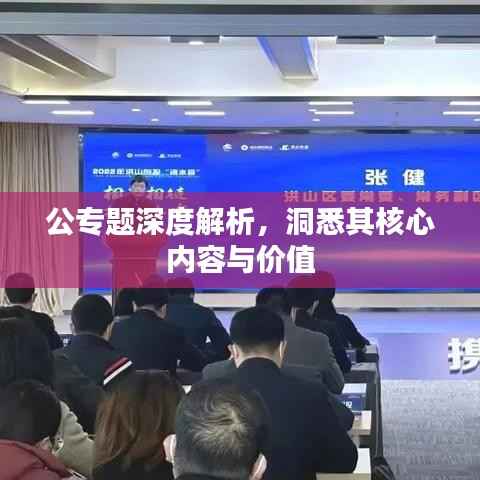 公专题深度解析,洞悉其核心内容与价值