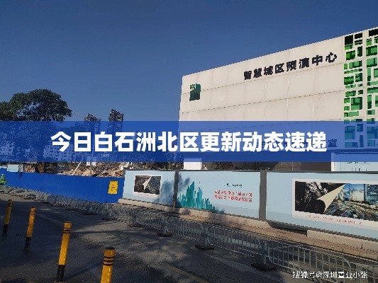 今日白石洲北区更新动态速递