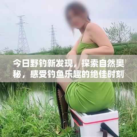 今日野钓新发现,探索自然奥秘,感受钓鱼乐趣的绝佳时刻!