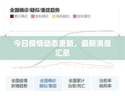 今日疫情动态更新,最新消息汇总