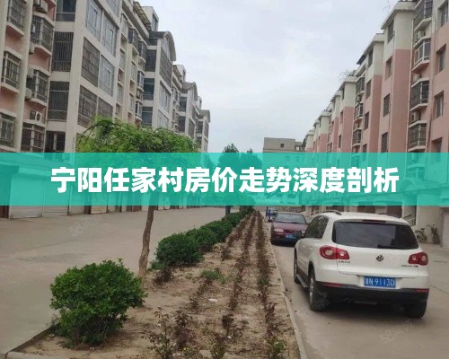宁阳任家村房价走势深度剖析