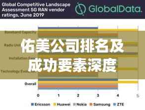 佑美公司排名及成功要素深度解析