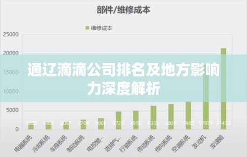 通辽滴滴公司排名及地方影响力深度解析