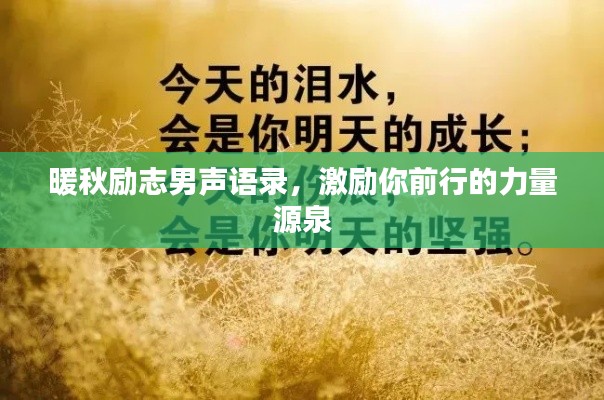 鞭驽策蹇 第2页