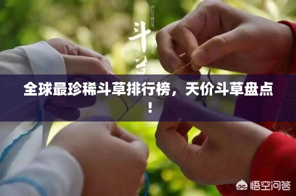 全球最珍稀斗草排行榜,天价斗草盘点!