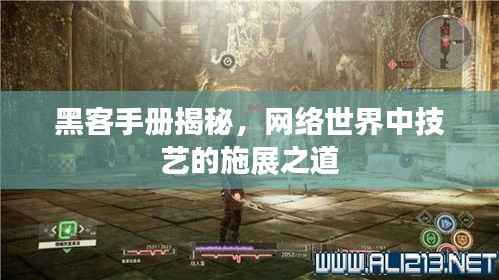 黑客手册揭秘,网络世界中技艺的施展之道
