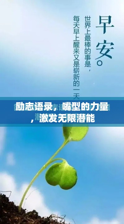 龙飞凤舞