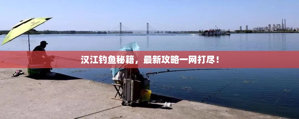 汉江钓鱼秘籍,最新攻略一网打尽!
