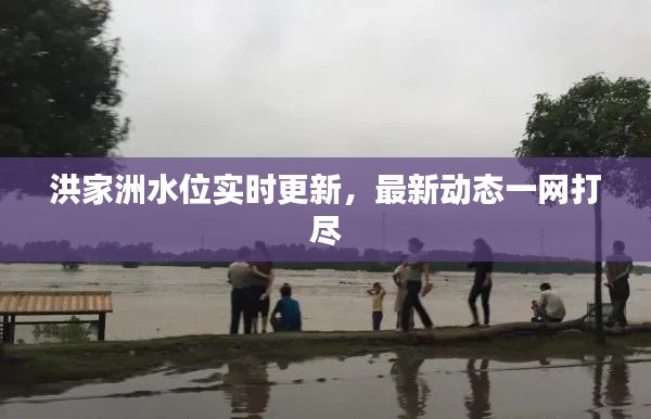 洪家洲水位实时更新,最新动态一网打尽