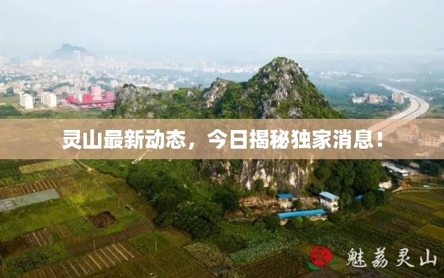 灵山最新动态,今日揭秘独家消息!