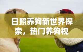 日照养狗新世界探索，热门养狗视频大集结