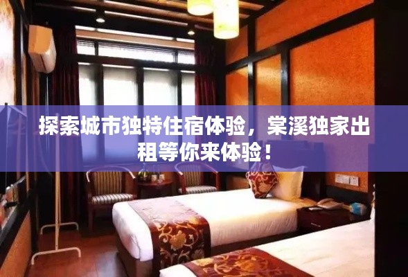 探索城市独特住宿体验,棠溪独家出租等你来体验!