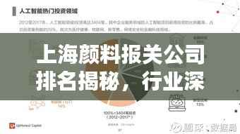 上海颜料报关公司排名揭秘,行业深度分析报告